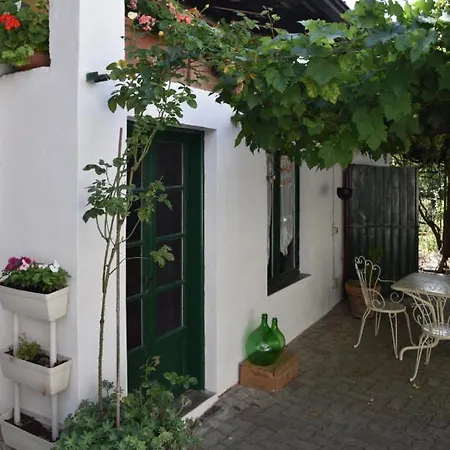 Sogni D'oro Ziano Piacentino