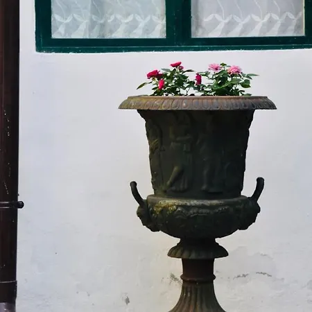 Sogni D'oro Panzió *