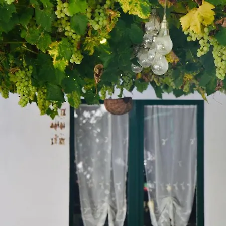 Panzió Sogni D'oro